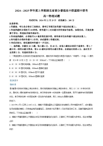 湖北省部分普通高中联盟2024-2025学年高一上学期期中联考物理试卷（Word版附解析）