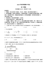 广西壮族自治区部分学校2024-2025学年高二上学期11月期中考试物理（原卷版）-A4