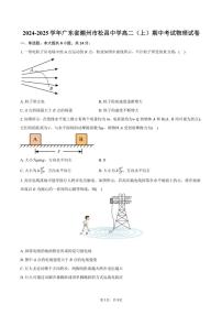 2024～2025学年广东省潮州市松昌中学高二(上)期中物理试卷(含答案)