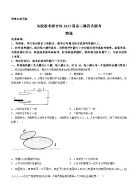 湖南省部分名校2024-2025学年高三上学期11月期中联合考试物理