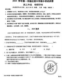上海市位育中学2024-2025学年高三上学期期中考试物理试卷