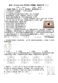 江西省南昌市第二中学2024-2025学年高二上学期11月月考物理试题