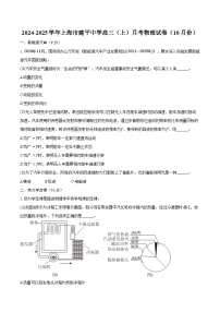 2024-2025学年上海市建平中学高三（上）月考物理试卷（10月份）（含答案）