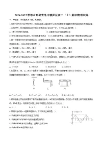 2024-2025学年山东省青岛市城阳区高三（上）期中物理试卷（含答案）