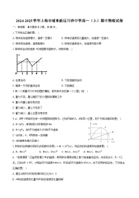 2024-2025学年上海市浦东新区川沙中学高一（上）期中物理试卷（含答案）