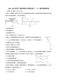 2023-2024学年广东省深圳市龙岗区高二（上）期末物理试卷（含答案）