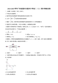 2024-2025学年广东省惠州市惠州中学高二（上）期中物理试卷（含答案）