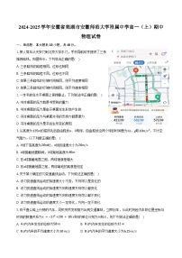 2024-2025学年安徽省芜湖市安徽师范大学附属中学高一（上）期中物理试卷（含答案）