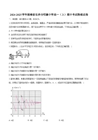 2024-2025学年湖南省长沙市明德中学高一（上）期中考试物理试卷（含答案）