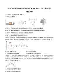 2024-2025学年湖南省长沙市雅礼教育集团高二（上）期中考试物理试卷（含答案）