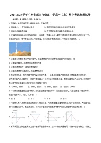 2024-2025学年广东省茂名市信宜中学高一（上）期中考试物理试卷（含答案）