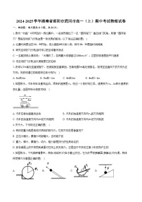 2024-2025学年湖南省邵阳市武冈市高一（上）期中考试物理试卷（含答案）