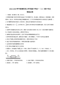 2024-2025学年湖南省长沙市湖南师范大学附属中学高一（上）期中考试物理试卷（含答案）