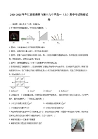 2024-2025学年江西省南昌市第十九中学高一（上）期中考试物理试卷（含答案）