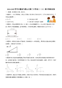 2024-2025学年安徽省马鞍山市第二中学高三（上）期中物理试卷（含答案）