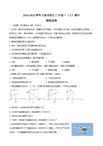 2024-2025学年上海市松江二中高一（上）期中物理试卷（含答案）