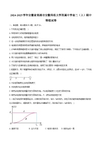 2024-2025学年安徽省芜湖市安徽师范大学附属中学高二（上）期中物理试卷（含答案）