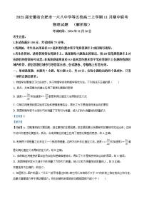 2025届安徽省合肥市一六八中学等五校高三上学期11月期中联考物理试题  （解析版）