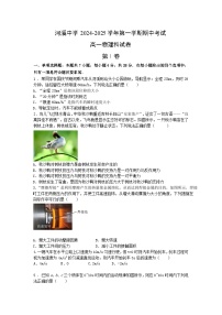 广东省汕头市潮阳区河溪中学2024-2025学年高一上学期11月期中物理试题