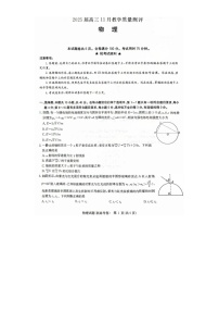 湖北省华大新高考联盟2024-2025学年高三上学期11月测评物理试题-A4