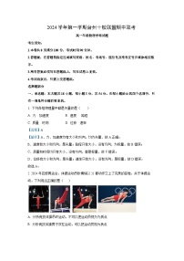 2024~2025学年浙江省台州市台州十校联考高一(上)11月期中物理试卷(解析版)