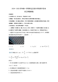 2024~2025学年河北省秦皇岛市青龙满族自治县青龙部分学校高三(上)11月期中联考物理试卷(解析版)