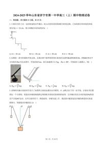 2024～2025学年山东省济宁市第一中学高三(上)期中物理试卷(含答案)