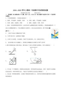 2024～2025学年重庆市南坪中学校高一(上)期中物理试卷(无答案)