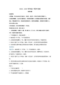 2024~2025学年山东省名校考试联盟高一(上)11月期中联考物理试卷(解析版)