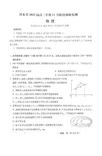 2025届河北省高三上学期11月模拟预测物理试题