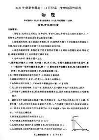 湖北省部分高中2024-2025学年高三上学期11月期中联考物理试题