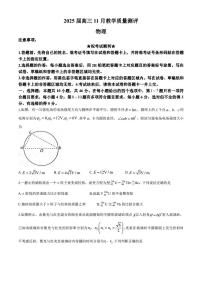 2025届湖北华大新高考联盟高三上学期11月教学质量测评物理试题