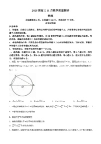 湖北省华大新高考联盟2024-2025学年高三上学期11月测评物理试题 含解析