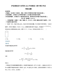 四川省泸州市泸县普通高中共同体2024-2025学年高二上学期11月期中统一联合考试物理试题  Word版含解析