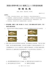 重庆市西南大学附属中学2024～2025学年高三(上)11月阶段性检查物理试卷(含答案)