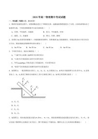 湖南省汨罗市第一中学2024～2025学年高一(上)期中物理试卷(含答案)