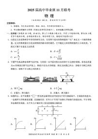 2025届广西新课程教研联盟高三上学期11月联考物理试题+答案