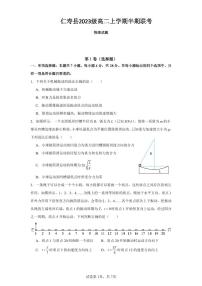 四川省眉山市仁寿县多校2024-2025学年高二上学期11月期中考试物理试题