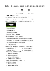 甘肃省嘉峪关市第一中学2024-2025学年高二上学期12月月考（合格考）物理试题