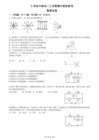 四川省眉山市仁寿县2024-2025学年高二上学期11月期中校际联考物理试题