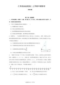 2024～2025学年四川省眉山市仁寿县高二(上)期中物理试卷(含答案)