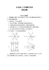 四川省眉山市仁寿县铧强中学2024-2025学年高二上学期11月期中物理试题