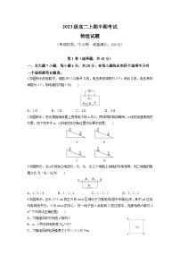 四川省眉山市东坡区冠城实验学校2024-2025学年高二上学期11月期中物理试题