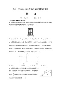 2025届甘肃省天水市第一中学高三上学期12月模拟预测物理试题