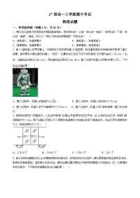 四川省眉山市仁寿县铧强中学2024-2025学年高一上学期11月期中物理试题