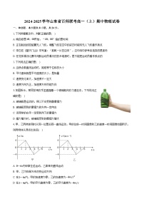 2024-2025学年山东省百师联考高一（上）期中物理试卷（含答案）