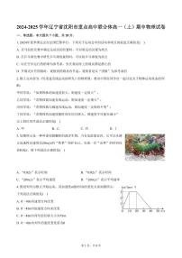 2024-2025学年辽宁省沈阳市重点高中联合体高一（上）期中物理试卷（含答案）