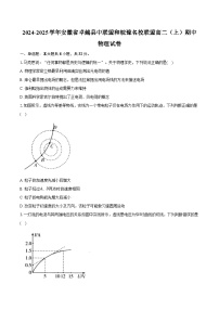 2024-2025学年安徽省卓越县中联盟和皖豫名校联盟高二（上）期中物理试卷（含答案）