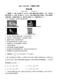 河南省周口市鹿邑县2024-2025学年高一上学期11月期中考试物理试卷（Word版附答案）