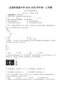 2024～2025学年黑龙江省鹤岗市宝泉岭高级中学高一(上)12月月考物理试卷(含答案)